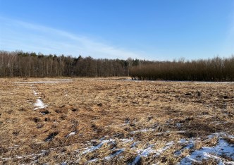 działka na sprzedaż - Pszczyna (gw), Jankowice