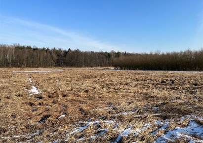 działka na sprzedaż - Pszczyna (gw), Jankowice