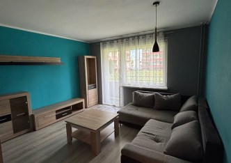 mieszkanie na wynajem - Miedźna, Wola
