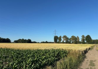 działka na sprzedaż - Miedźna, Frydek