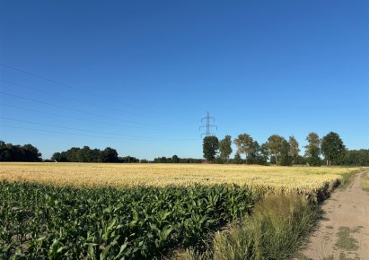 działka na sprzedaż - Miedźna, Frydek