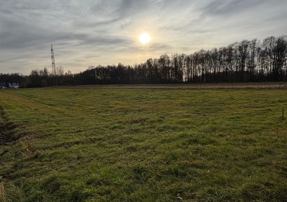 działka na sprzedaż - Miedźna, Bodzów