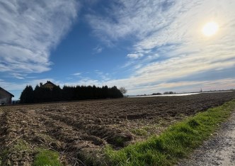 działka na sprzedaż - Pszczyna (gw), Łąka