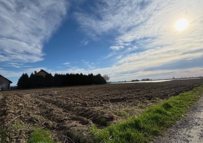 działka na sprzedaż - Pszczyna (gw), Łąka