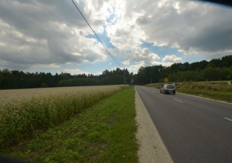 działka na sprzedaż - Miedźna, Wola