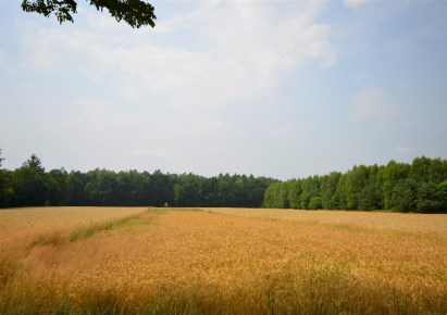 działka na sprzedaż - Bojszowy, Międzyrzecze