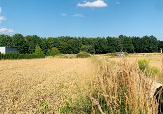 działka na sprzedaż - Suszec