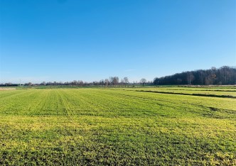 działka na sprzedaż - Pszczyna, Daszyńskiego